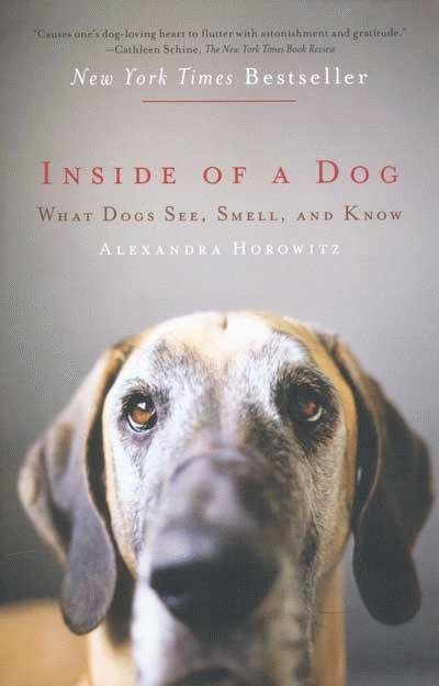 Inside Of A Dog – What Dogs See, Smell and Know