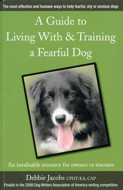 A Guide To Living With & Training A Fearful Dog